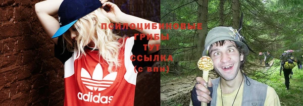 героин Богданович