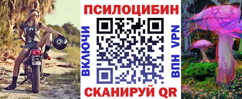 сайты даркнета как зайти  дарнет шоп  Кингисепп  Псилоцибиновые грибы Cubensis 